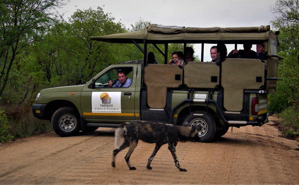 Prezentul sud-african, safari şi escapadă la Cascada Victoria