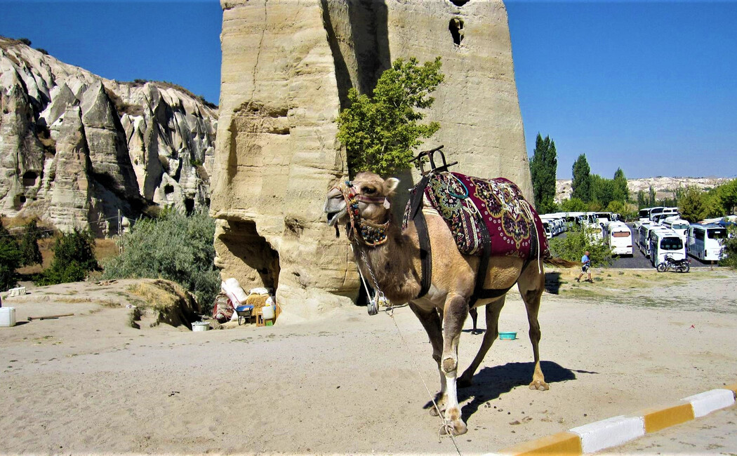 Splendorile Turciei - Odisee în Anatolia Orientală