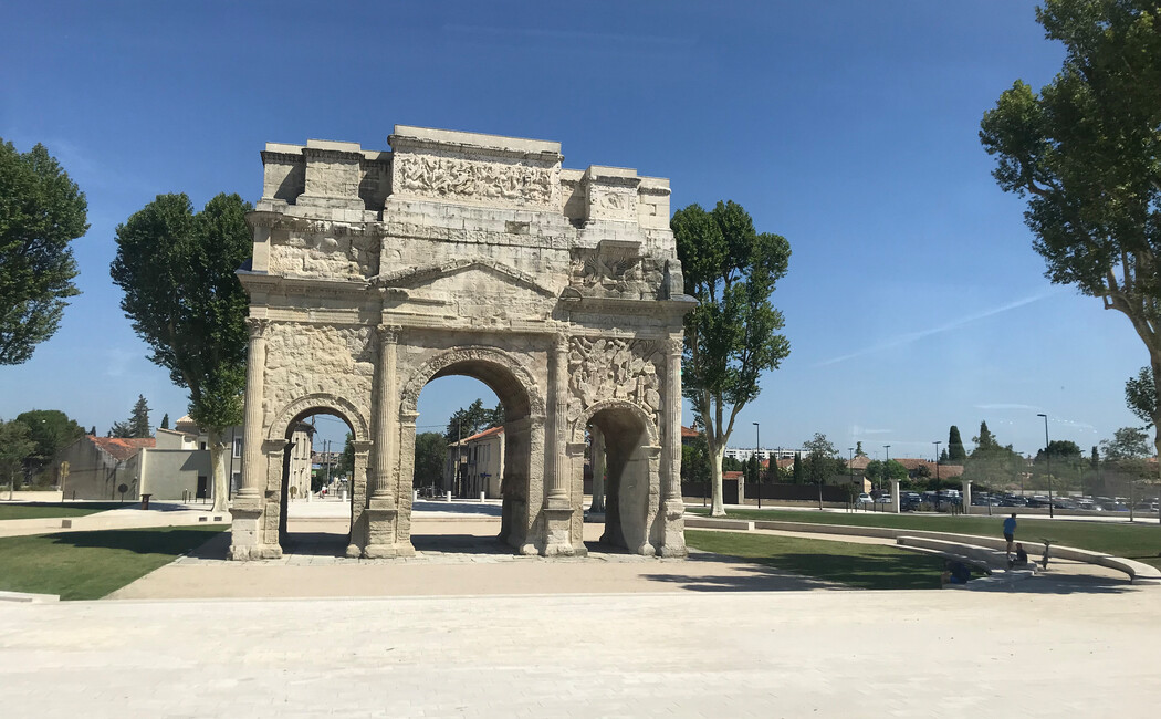 Povestea magică a lavandei provensale