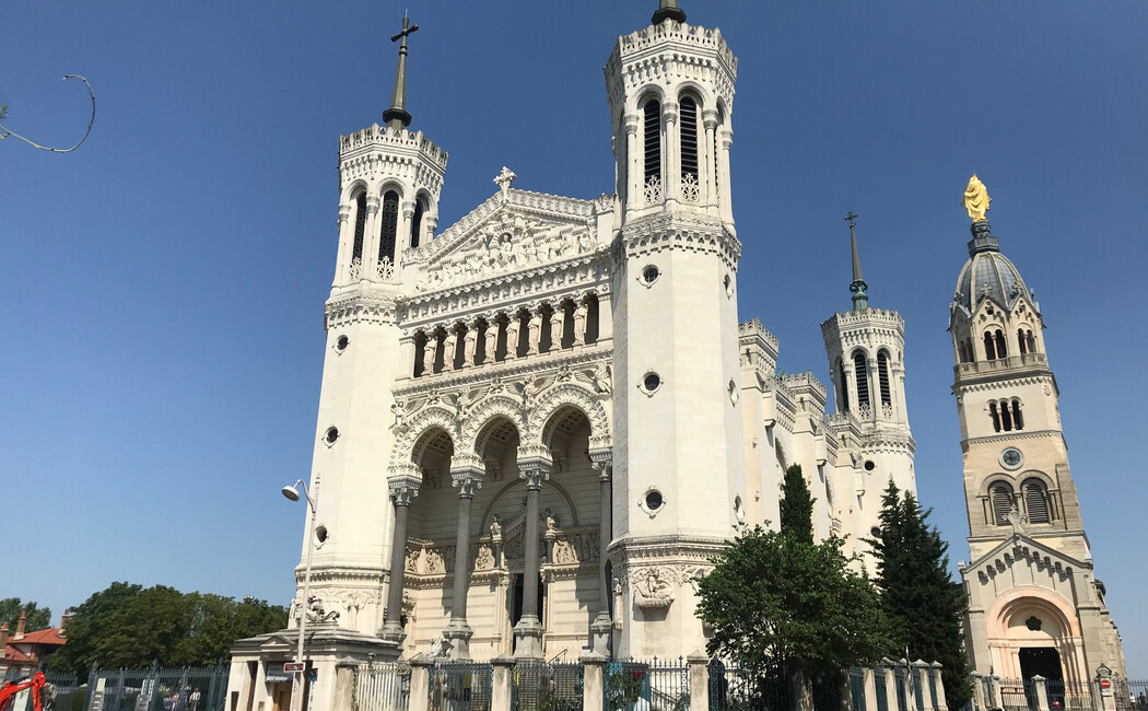 Povestea magică a lavandei provensale