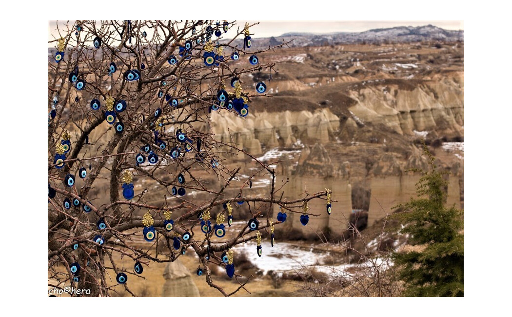 Incursiune în Grădina Edenului
