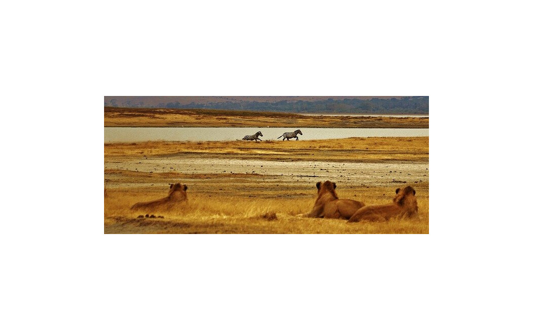 Safari și plajă la Oceanul Indian