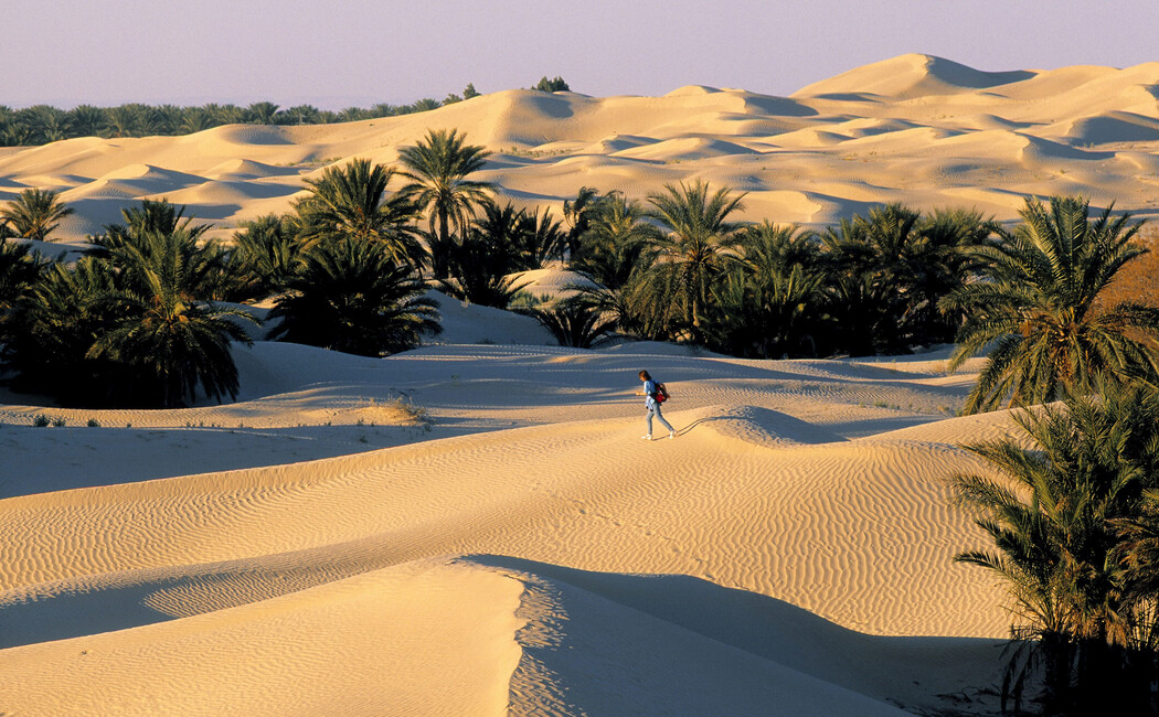 Soukuri şi medine, deşert, oaze şi Insula Djerba