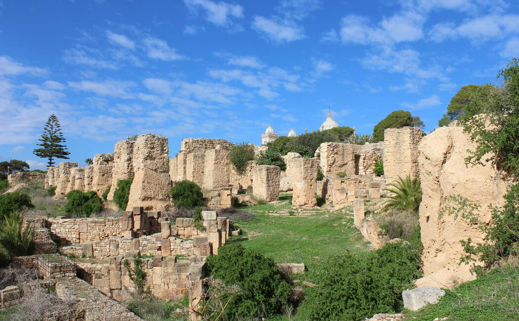 Soukuri şi medine, deşert, oaze şi Insula Djerba