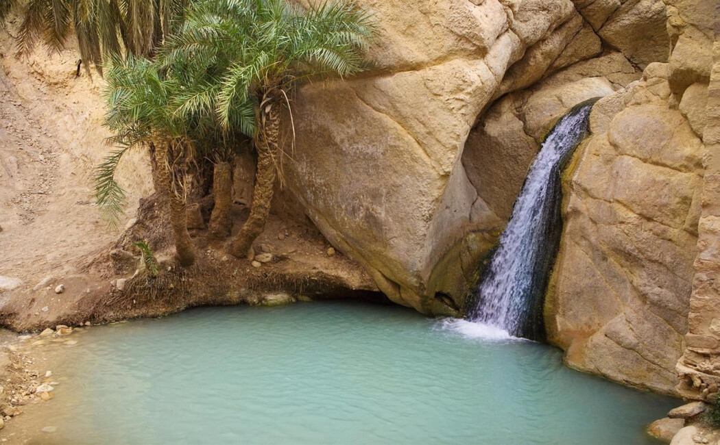 Soukuri şi medine, deşert, oaze şi Insula Djerba