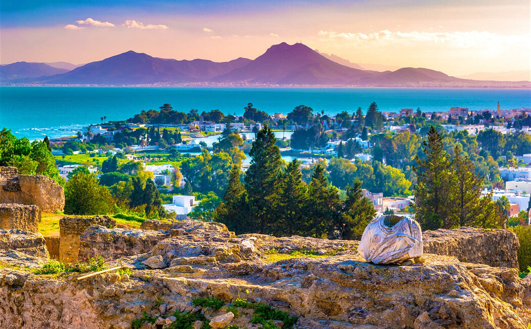 Soukuri şi medine, deşert, oaze şi Insula Djerba