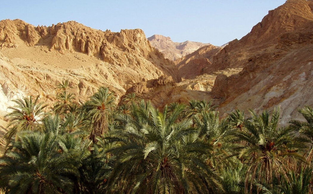 Soukuri şi medine, deşert, oaze şi Insula Djerba