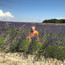 Burgundia – Provence – Coasta de Azur