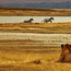 Safari și plajă la Oceanul Indian